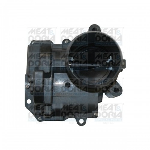GAZ KELEBEĞİ BMW F20-F30 N13