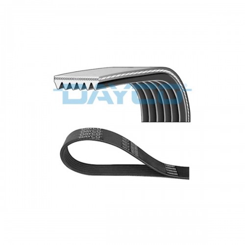 DAYCO 6PK1004S