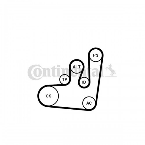 V KAYIŞI 6PK1145