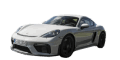 Cayman GT4-2 2019 >>